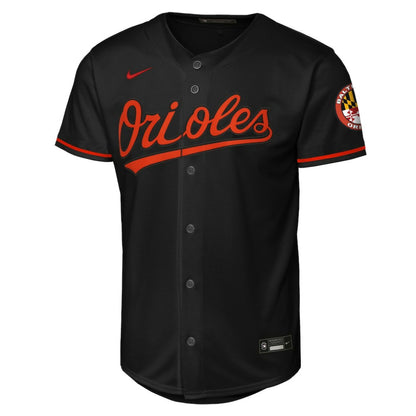 Baltimore Orioles Nike Youth Alternate Stadium Jersey - Black | MLB Jerseys
