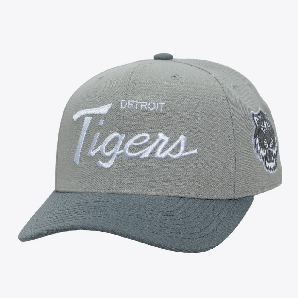 Detroit Tigers Mitchell & Ness Thunderstorm Head Coach Pro-Crown Adjustable Hat Sale