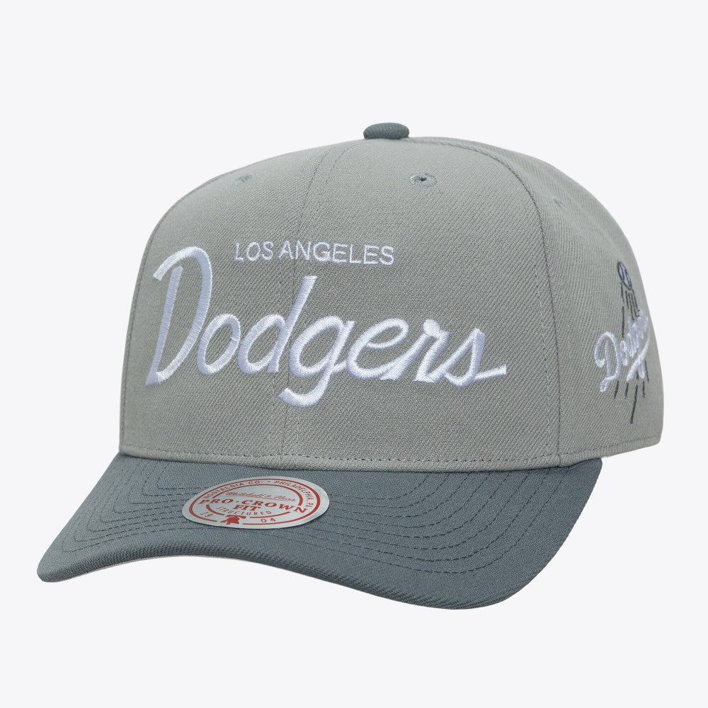 Los Angeles Dodgers Mitchell & Ness Thunderstorm Head Coach Pro-Crown Adjustable Hat Near Me