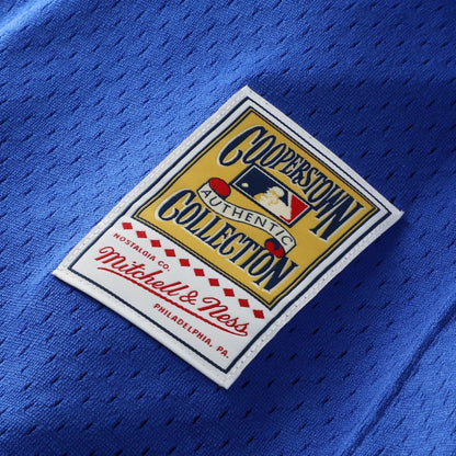 Greg Maddux Chicago Cubs Mitchell & Ness Authentic Batting Practice Jersey - Royal | MLB Jerseys