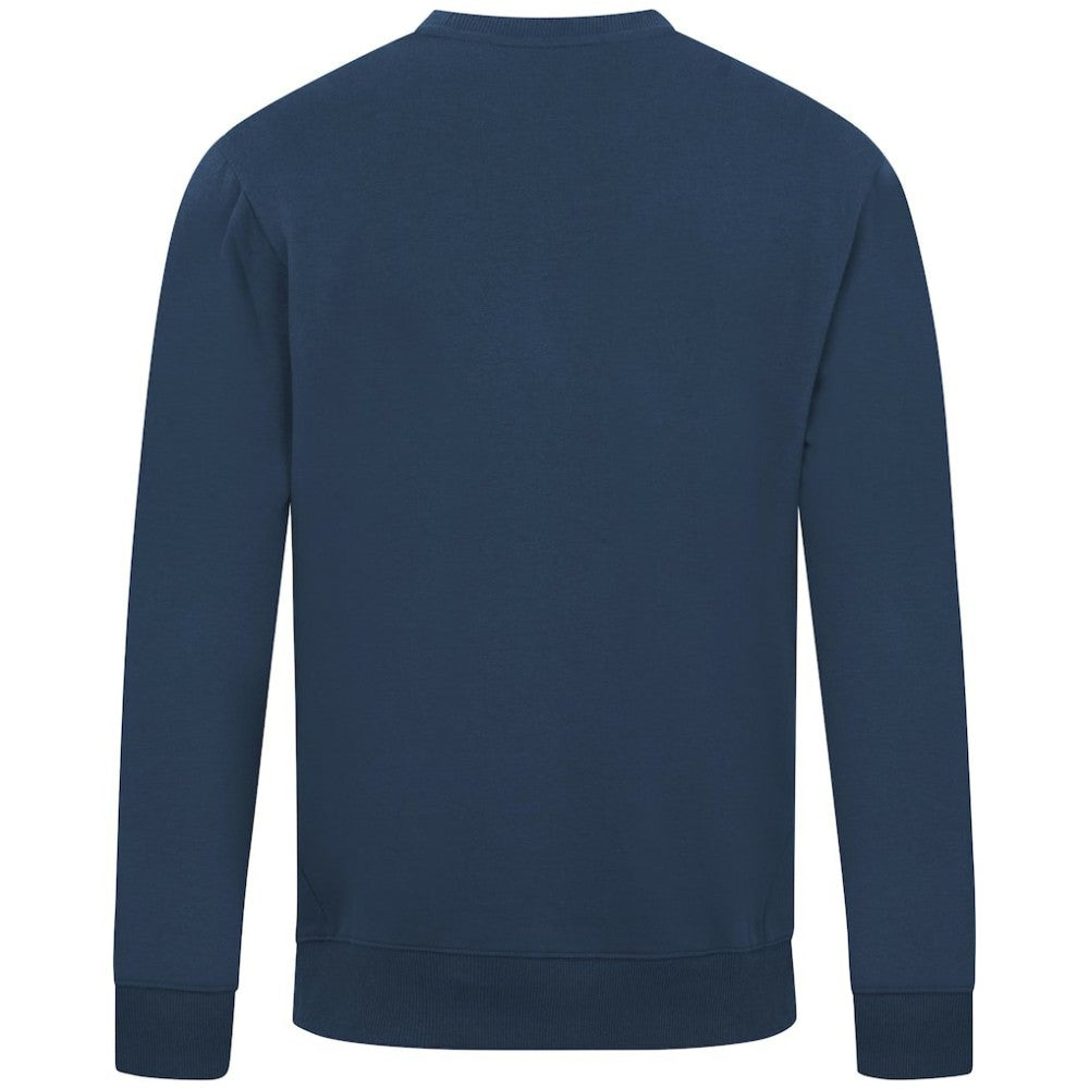 Tampa Bay Rays Levelwear City Connect Zane Back Splash Sweatshirt Near Me