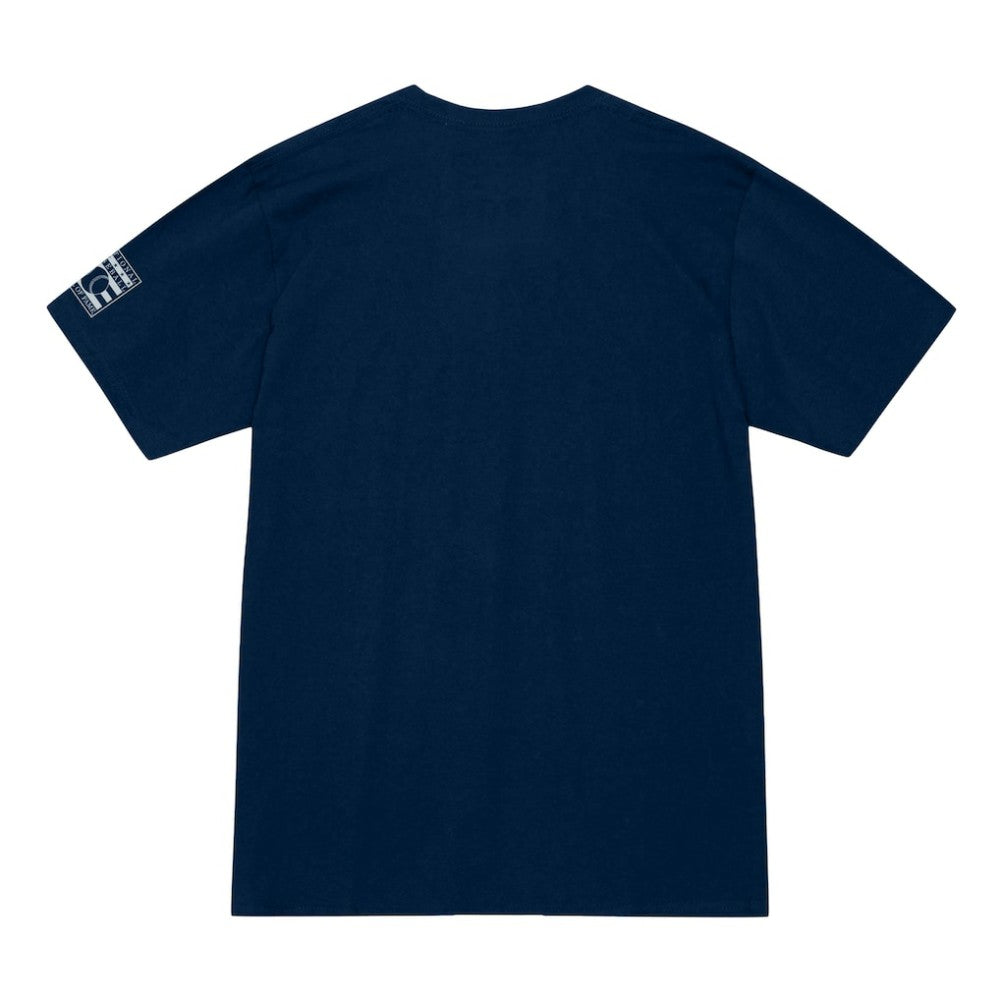Ichiro Suzuki Seattle Mariners Mitchell & Ness Hall of Fame Hitter T-Shirt for sale
