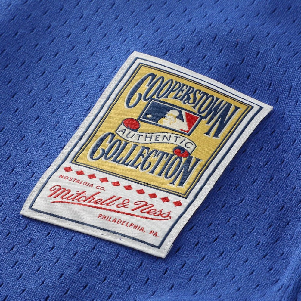 Lenny Dykstra New York Mets Mitchell & Ness Authentic Batting Practice Jersey On Sale