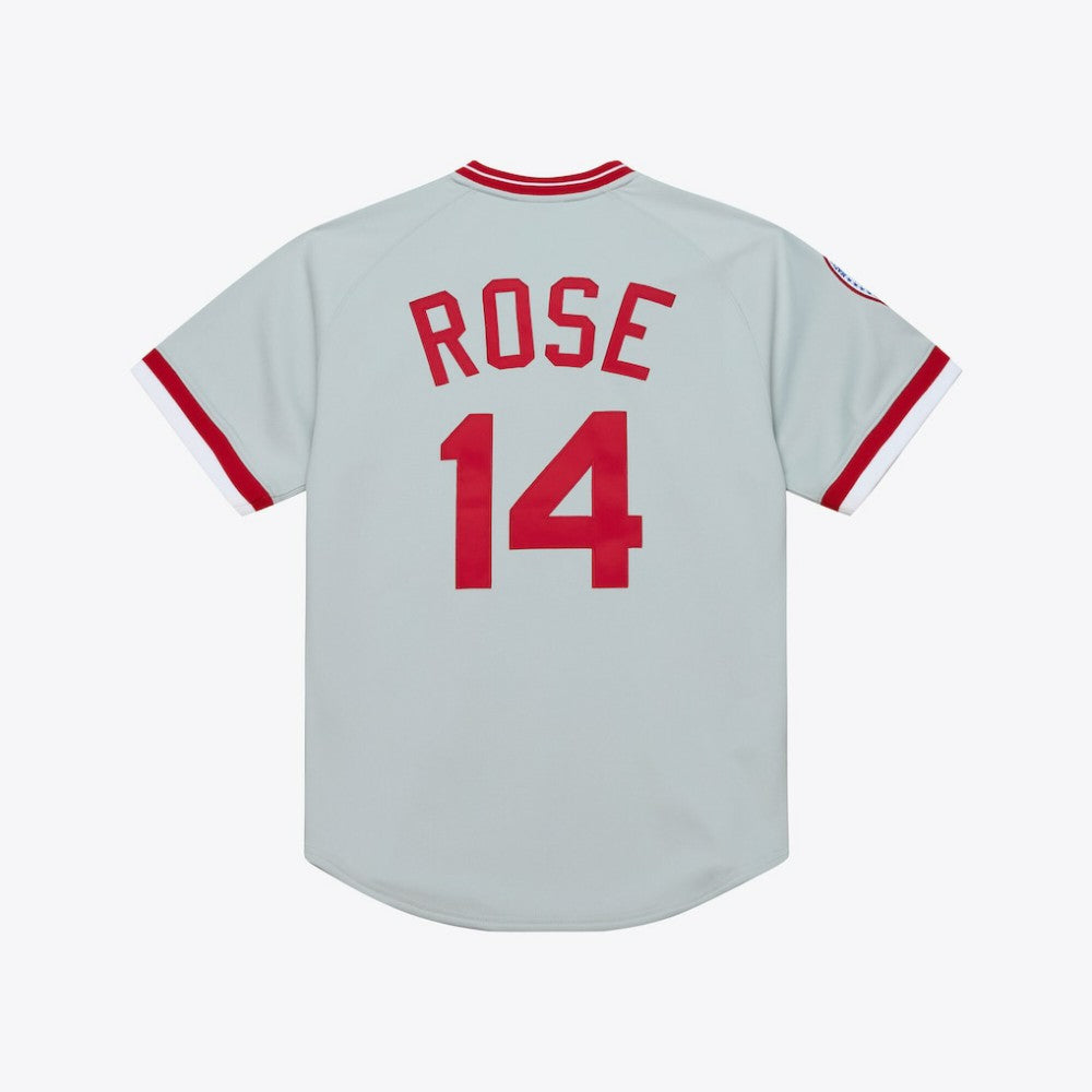 Pete Rose Cincinnati Reds Mitchell & Ness 1976 Authentic Jersey - Gray | MLB Jerseys