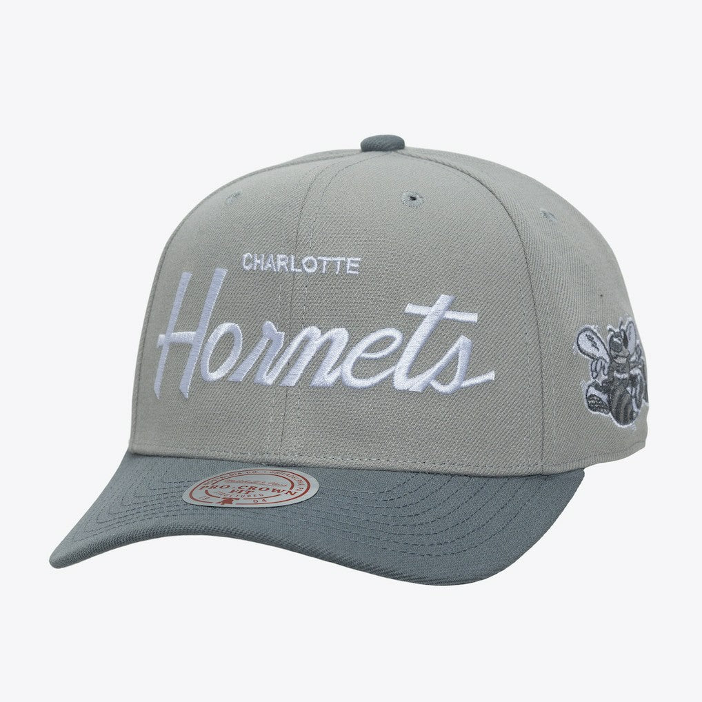 Mitchell & Ness - Charlotte Hornets Thunderstorm Head Coach Pro Crown Snapback Hat - Gray
