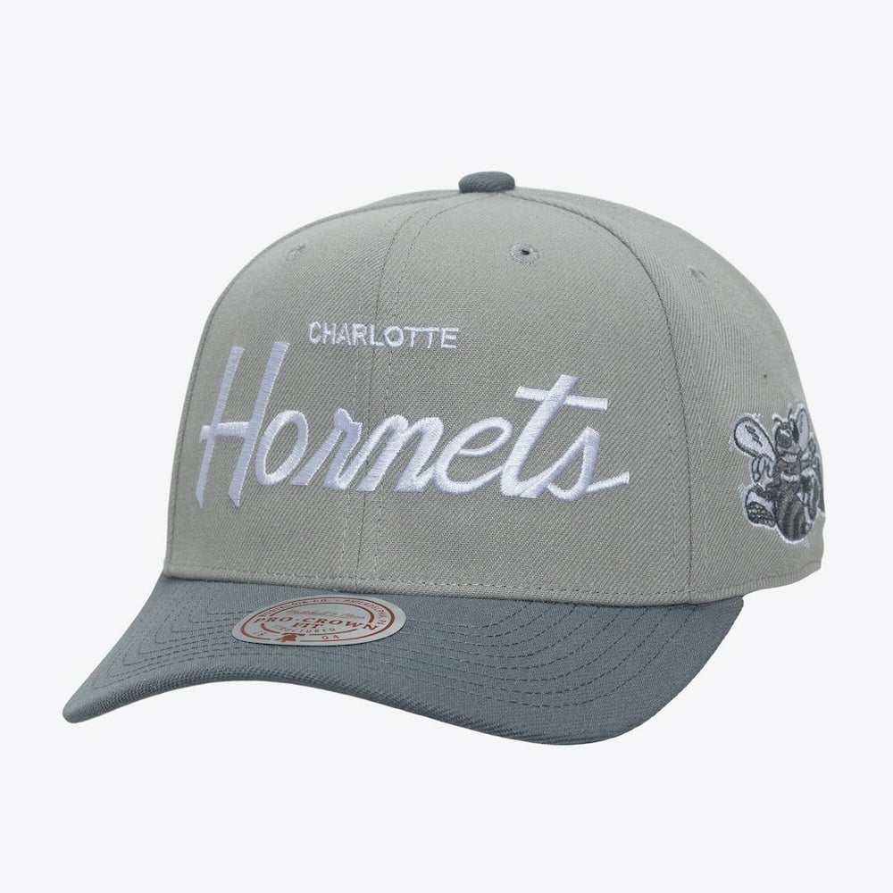 Mitchell & Ness - Charlotte Hornets Thunderstorm Head Coach Pro Crown Snapback Hat - Gray
