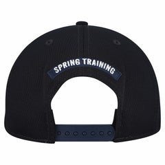 Detroit Tigers New Era 2026 Spring Training Fan Pack Grow 9FIFTY Snapback Hat On Sale
