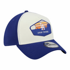 Los Angeles Dodgers New Era 2026 Spring Training Fan Pack Gradient 39THIRTY Flex Hat On Sale