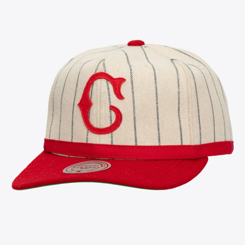 Cincinnati Reds Mitchell & Ness Unisex Vintage Ground Melton Wool Pinstripe Adjustable Hat Online