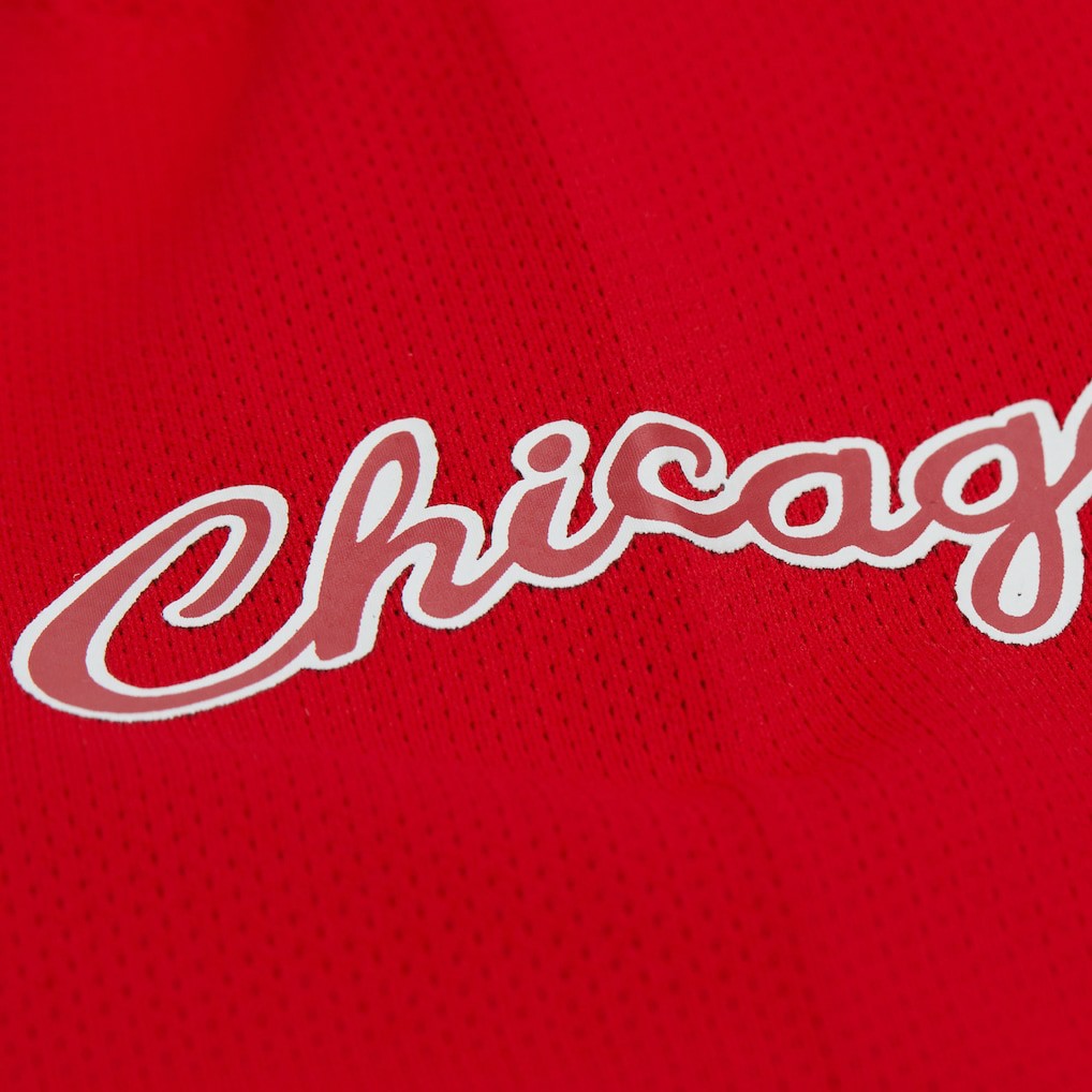 Mitchell & Ness - Dennis Rodman Chicago Bulls Unisex Maxxed Out Fashion Hockey Jersey - Red