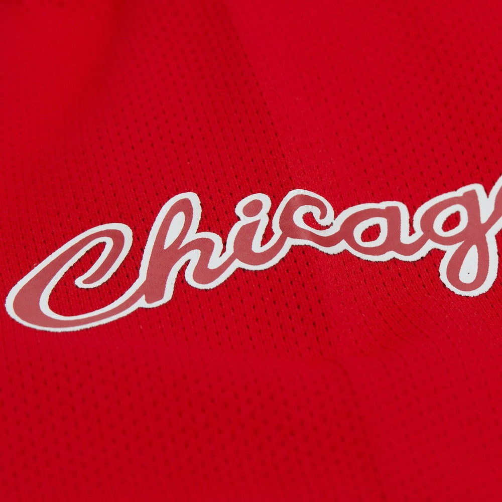 Mitchell & Ness - Dennis Rodman Chicago Bulls Unisex Maxxed Out Fashion Hockey Jersey - Red