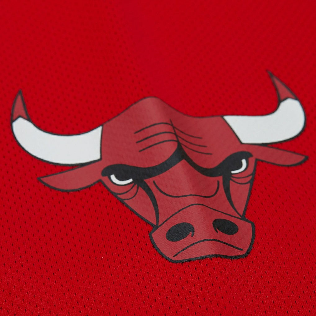 Mitchell & Ness - Dennis Rodman Chicago Bulls Unisex Maxxed Out Fashion Hockey Jersey - Red