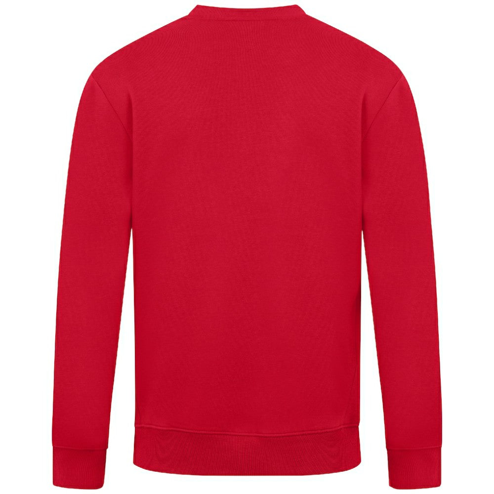 Boston Red Sox Levelwear Zane Banner Arch Sweatshirt for sale