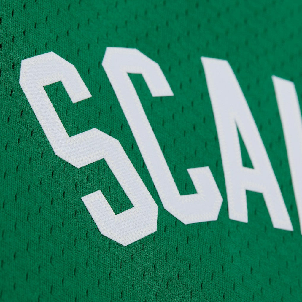 Mitchell & Ness - Brian Scalabrine Boston Celtics 2007/08 Hardwood Classics Swingman Jersey - Kelly Green