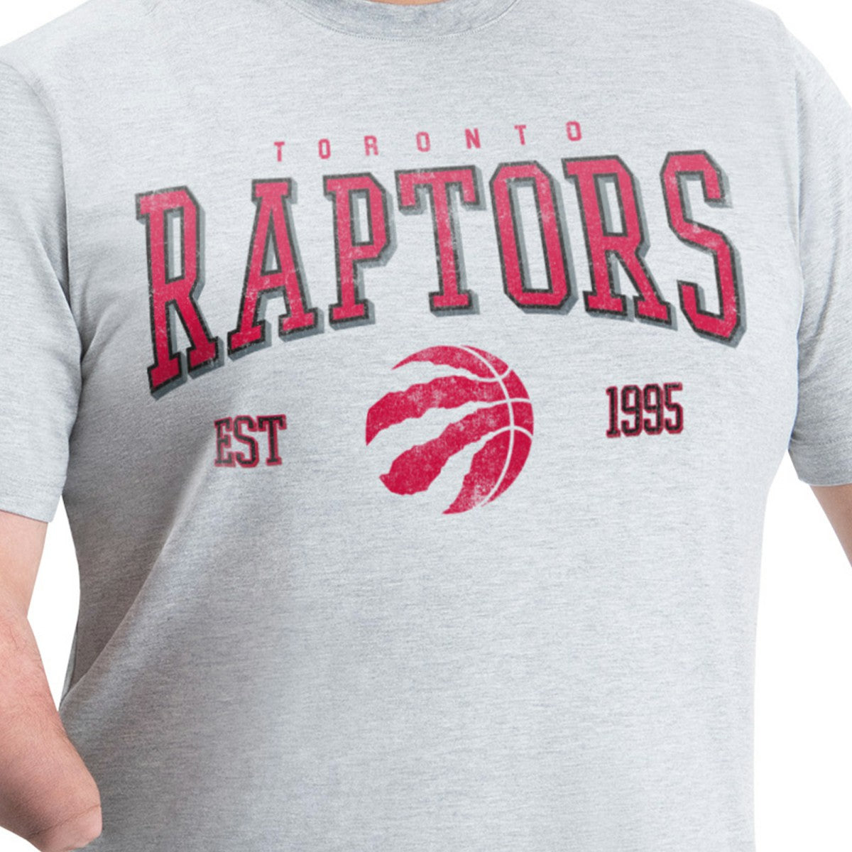 NBA - Toronto Raptors G-III Sports by Carl Banks Adaptive Classic Team Spirit Short Sleeve T-Shirt - Gray