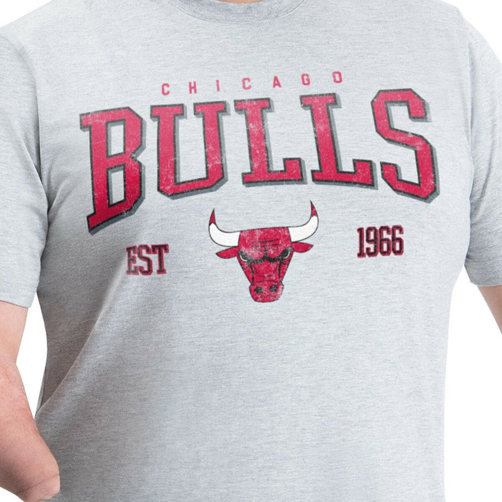 NBA - Chicago Bulls G-III Sports by Carl Banks Adaptive Classic Team Spirit Short Sleeve T-Shirt - Gray