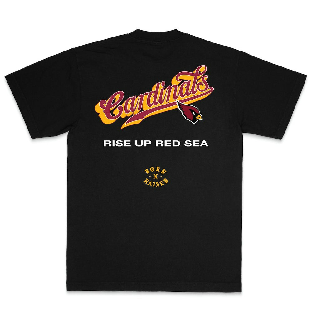 Arizona Cardinals Born x Raised Unisex Pro Script T-Shirt Black - NFL