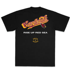 Arizona Cardinals Born x Raised Unisex Pro Script T-Shirt Black - NFL