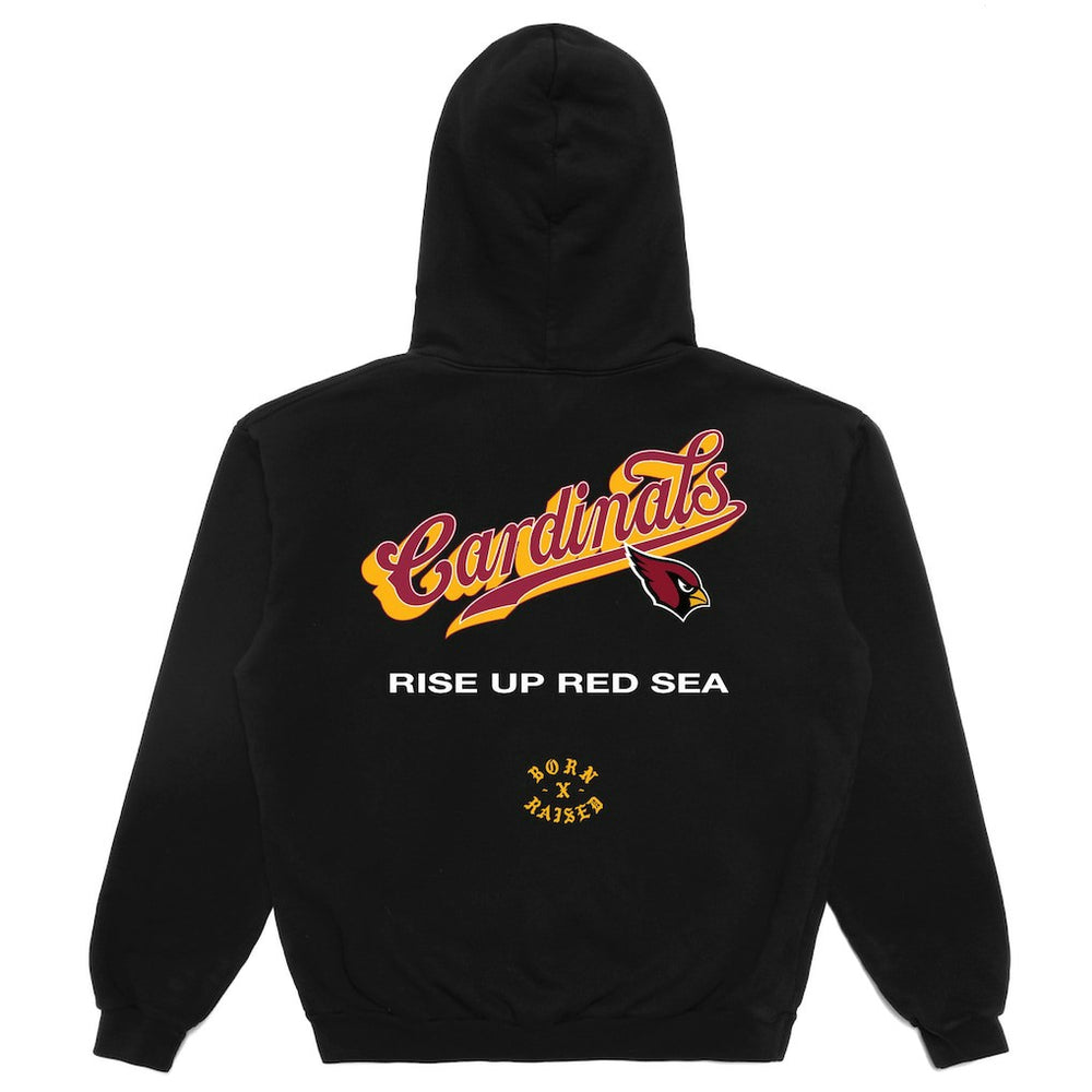 Arizona Cardinals Born x Raised Unisex Pro Script Hoodie Black - NFL