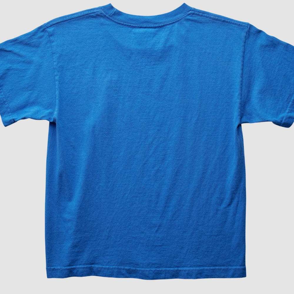 New York Giants NFL 2012 T-Shirt Blue Vintage - Fanatics