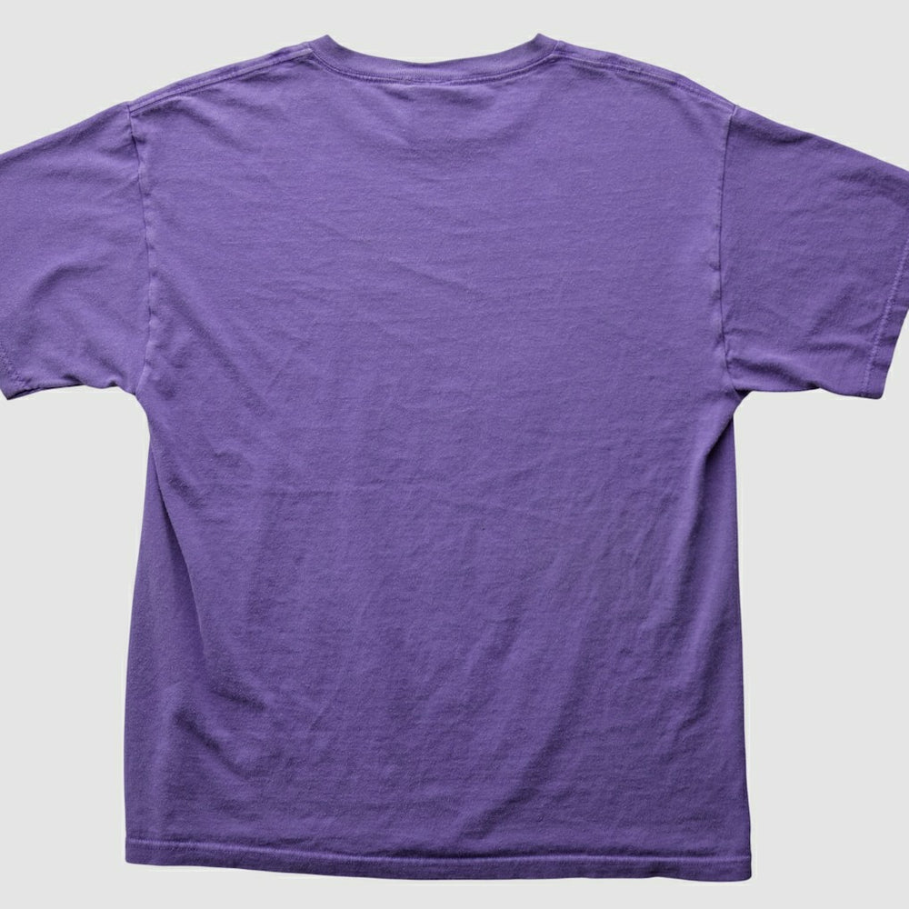 Minnesota Vikings 2007 T-Shirt Purple Vintage - Fanatics