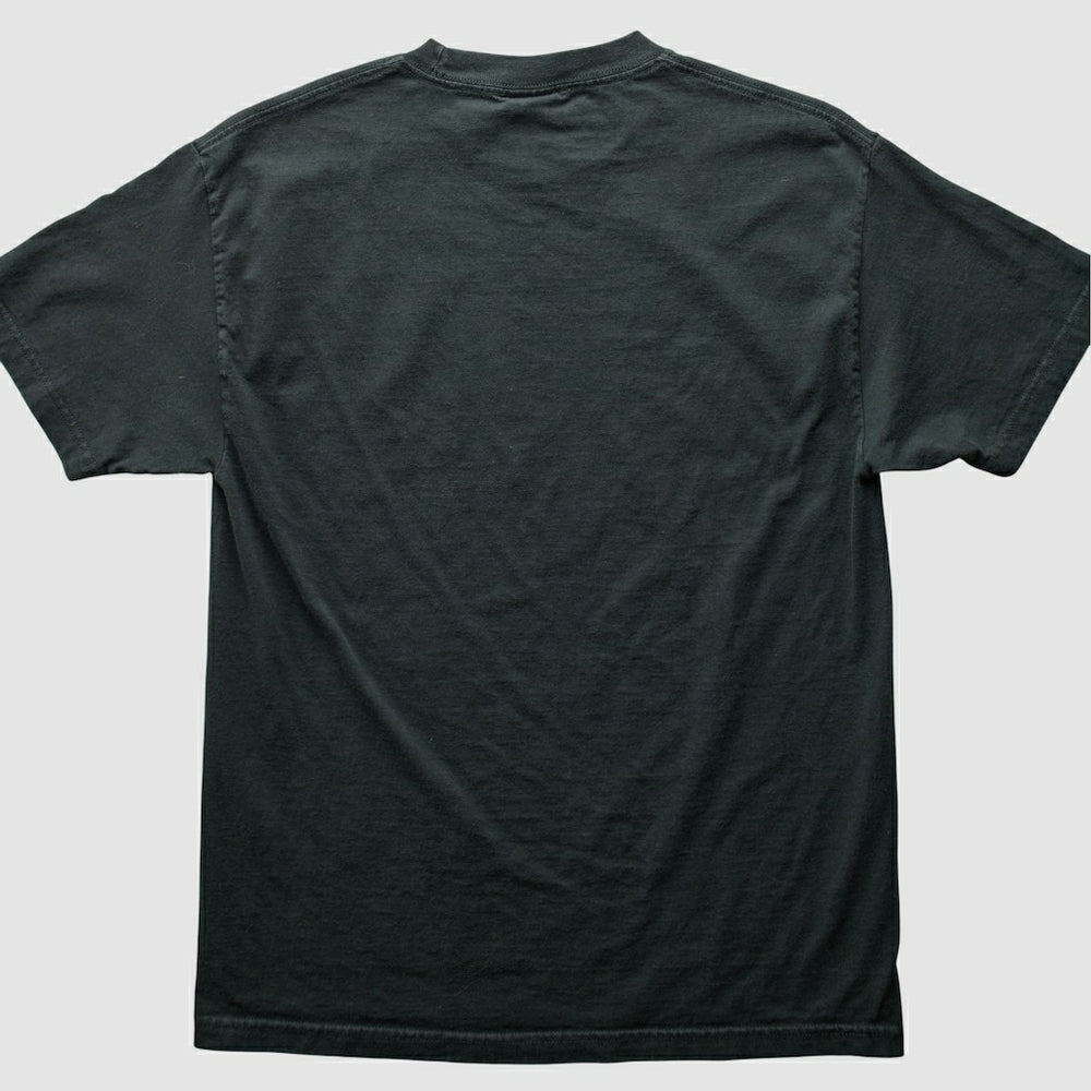 Pittsburgh Steelers NFL 2000s T-Shirt Black Vintage - Fanatics