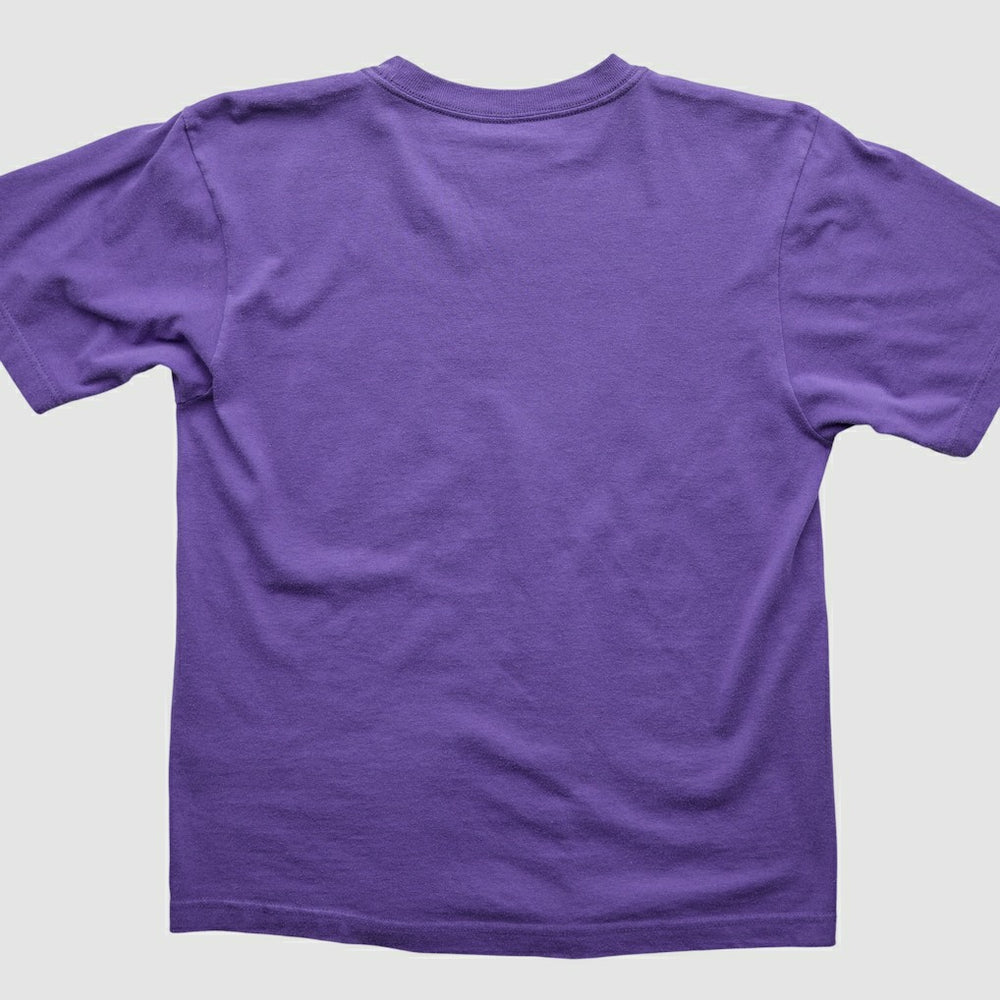 Minnesota Vikings 2000s T-Shirt Purple Vintage - Fanatics