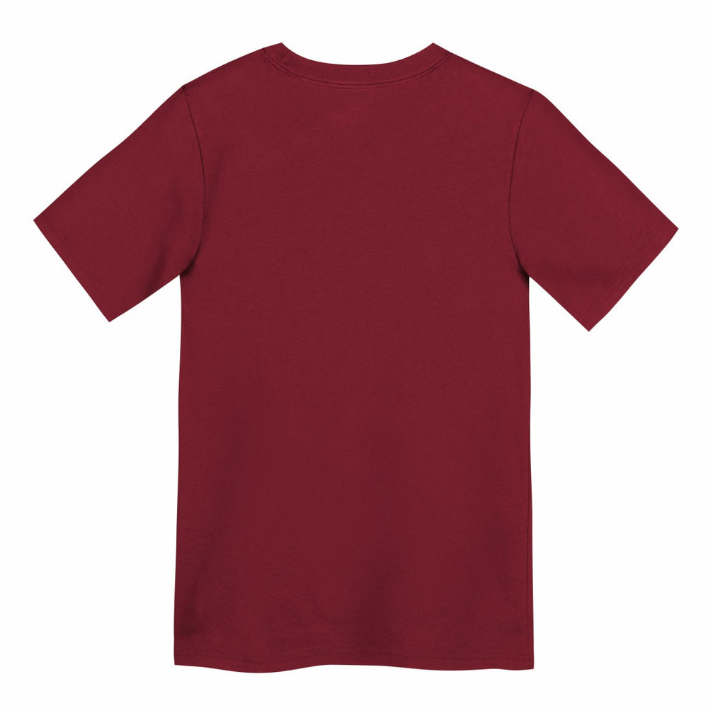 Tampa Bay Buccaneers Preschool Icon Legend Dri-FIT T-Shirt Red - Nike