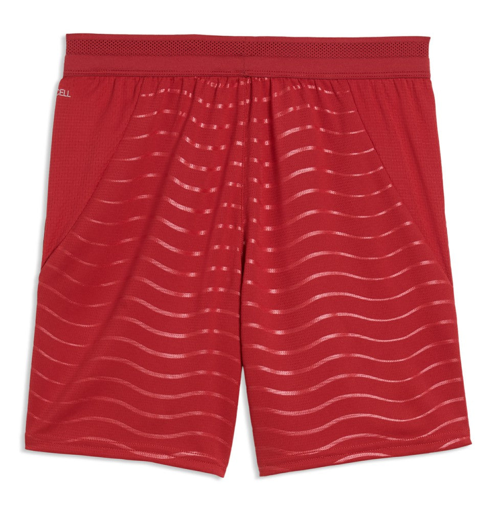 Puma Portugal National Team Youth 2026 Replica Shorts - Red