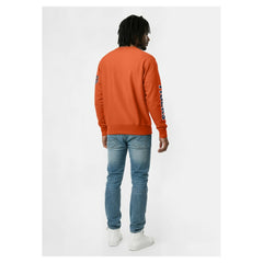 Detroit Tigers Champion Reverse Weave Chenille Sweatshirt Online