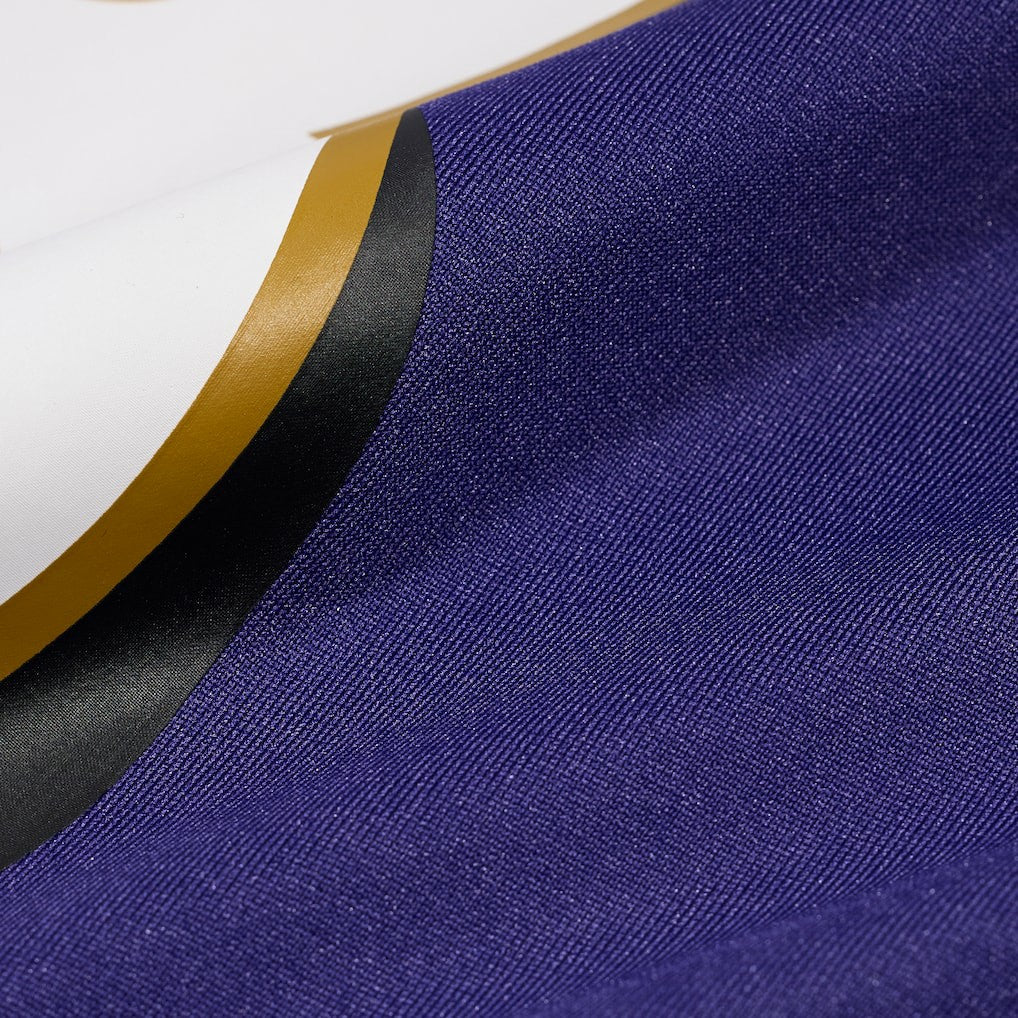 Cornelius Johnson Baltimore Ravens Team Game Jersey Purple - Nike