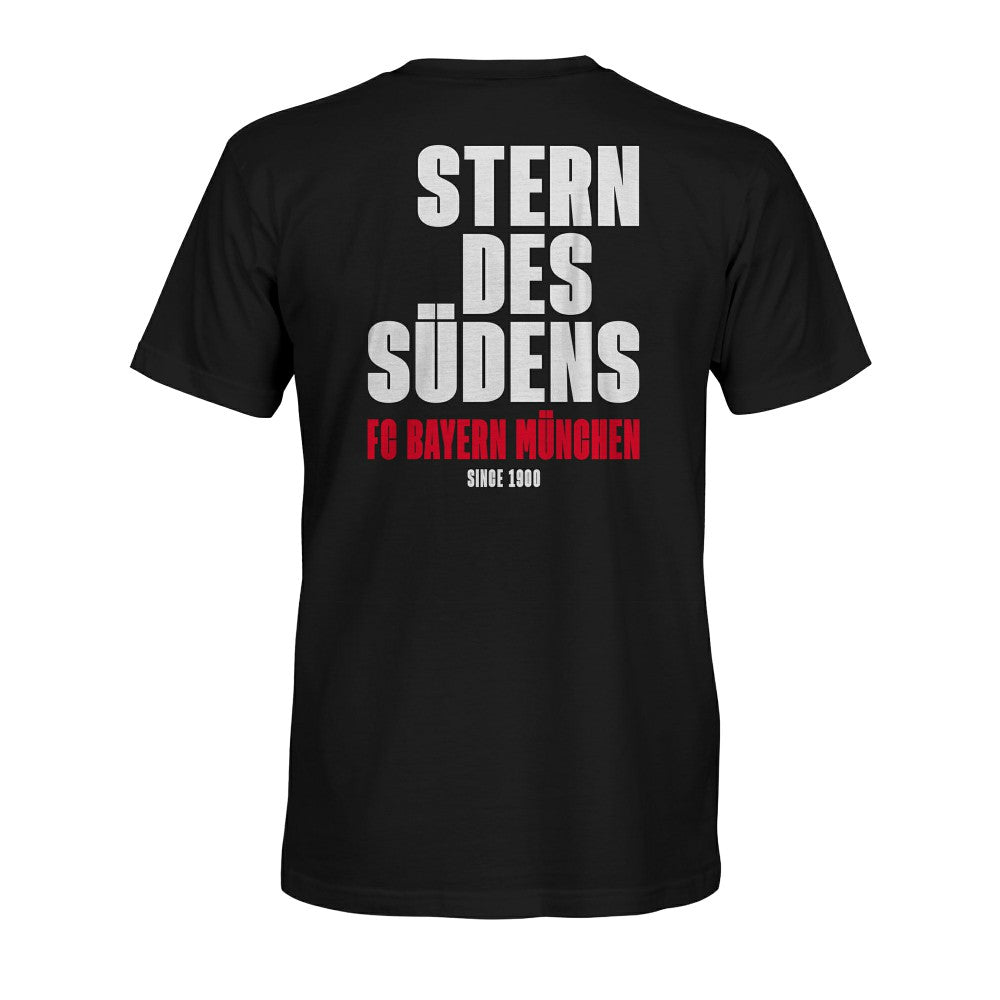 Bayern Munich 1863FC True To Glory Heavyweight T-Shirts - Black