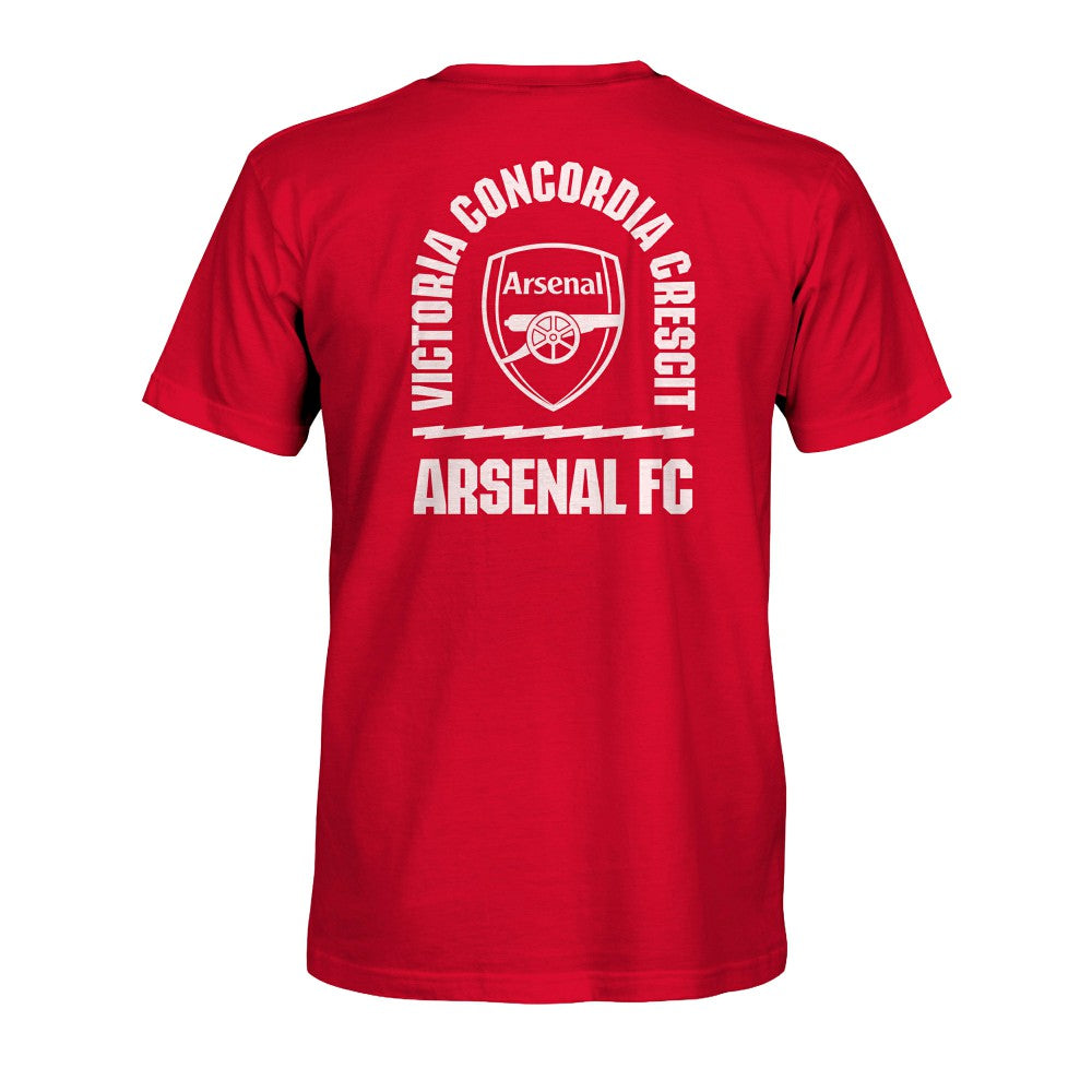 Arsenal 1863FC True To Glory Heavyweight T-Shirts - Red