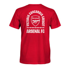 Arsenal 1863FC True To Glory Heavyweight T-Shirts - Red