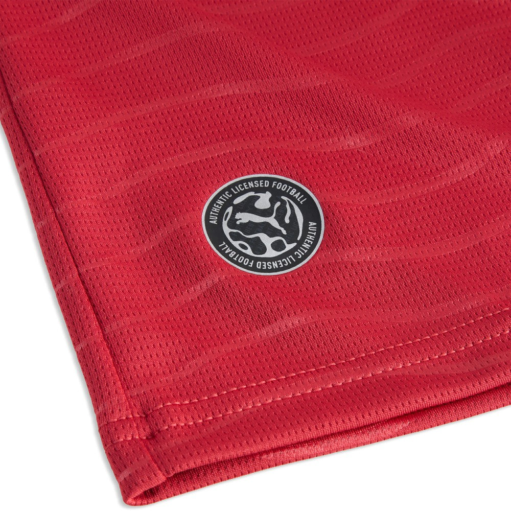 Puma Cristiano Ronaldo Portugal National Team 2026 Home Replica Jerseys - Red