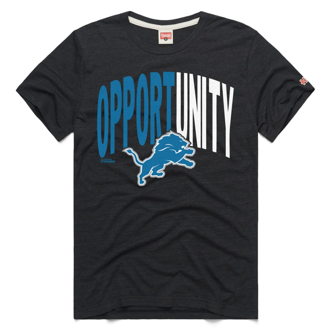 Detroit Lions Homage Unisex 2025 Inspire Change Opportunity Tri-Blend T-Shirt Charcoal - NFL