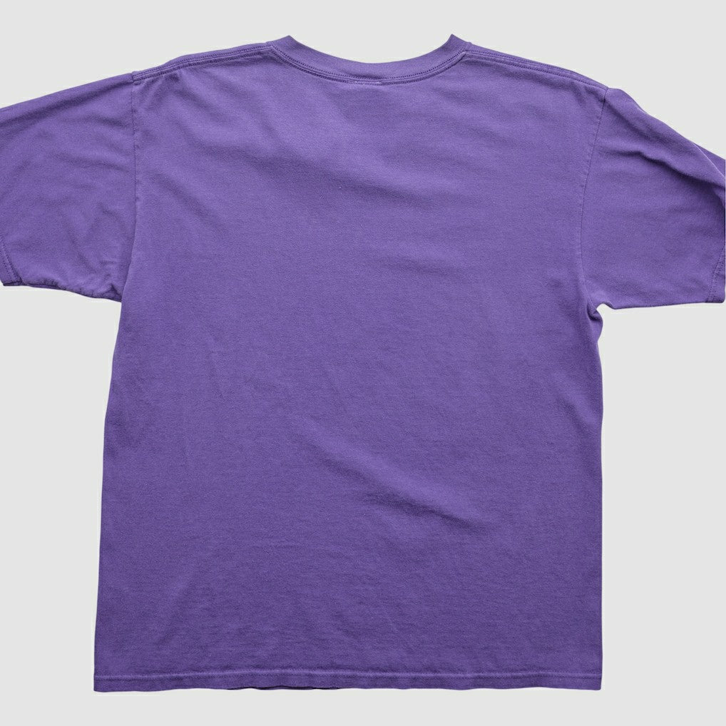 Minnesota Vikings NFL 2000s T-Shirt Purple Vintage - Fanatics