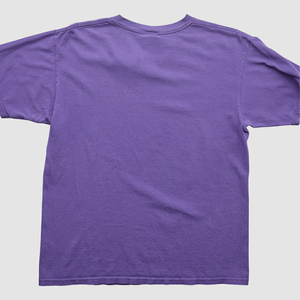 Minnesota Vikings NFL 2000s T-Shirt Purple Vintage - Fanatics