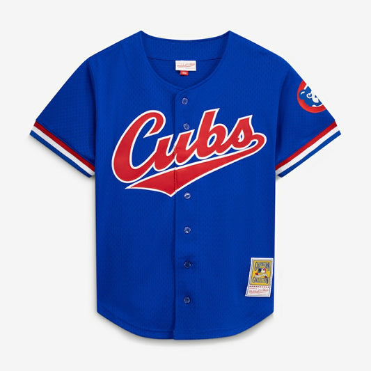 Ryne Sandberg Chicago Cubs Mitchell & Ness Cooperstown Collection 1996 Mesh Batting Practice Button-Up Jersey - Royal | MLB Jerseys