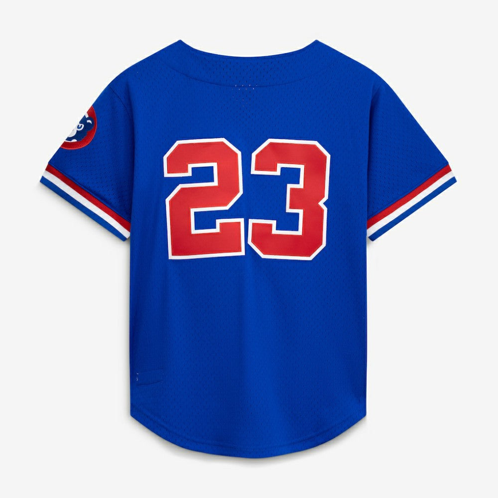 Ryne Sandberg Chicago Cubs Mitchell & Ness Cooperstown Collection 1996 Mesh Batting Practice Button-Up Jersey - Royal | MLB Jerseys