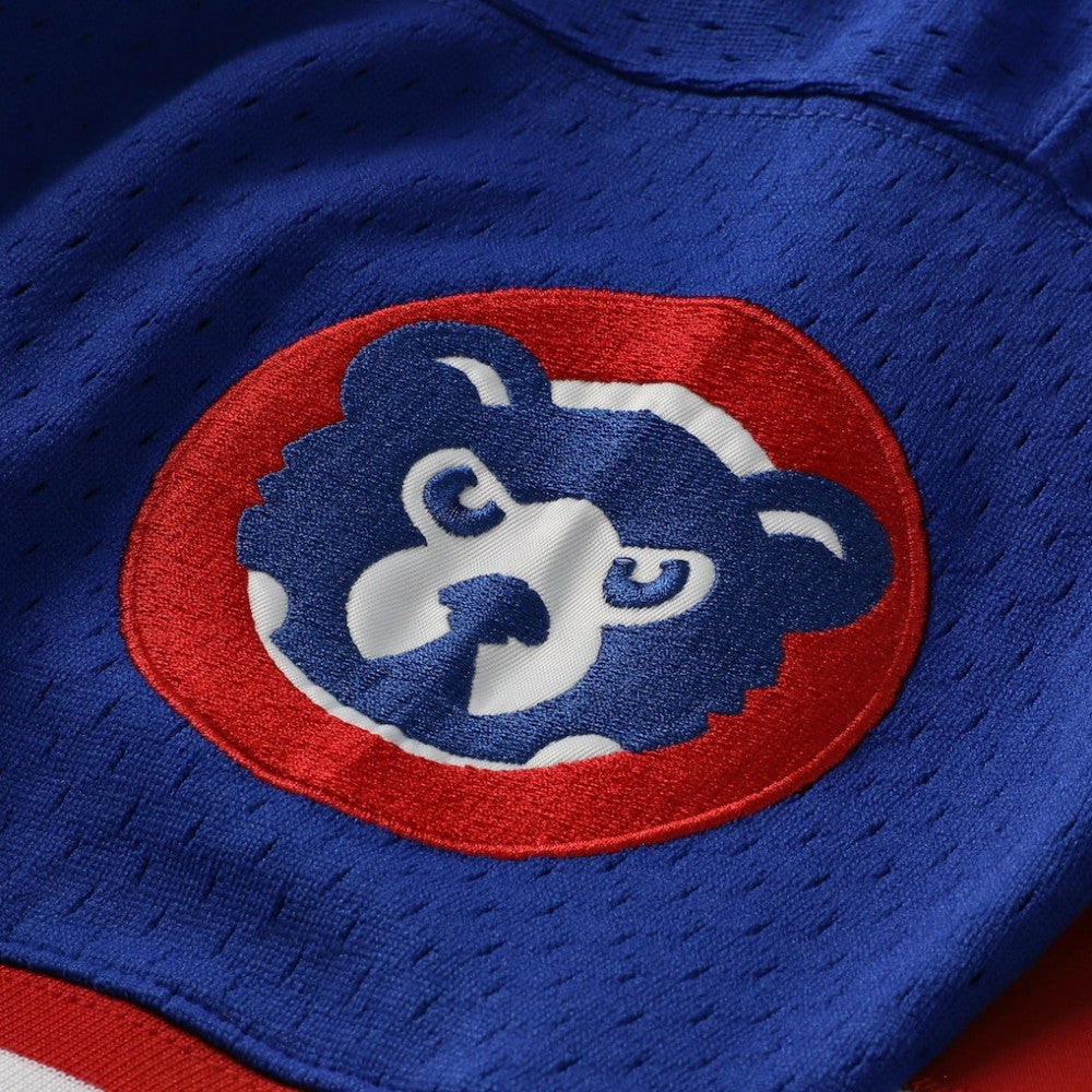 Ryne Sandberg Chicago Cubs Mitchell & Ness Cooperstown Collection 1996 Mesh Batting Practice Button-Up Jersey - Royal | MLB Jerseys