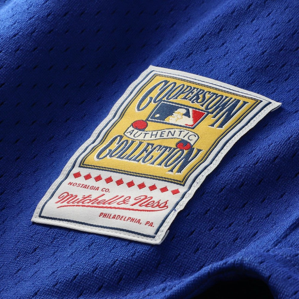 Ryne Sandberg Chicago Cubs Mitchell & Ness Cooperstown Collection 1996 Mesh Batting Practice Button-Up Jersey - Royal | MLB Jerseys