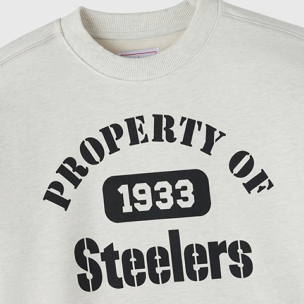 Pittsburgh Steelers OVO x NFL Unisex Fleece Sweatshirt Heather Gray - NFL