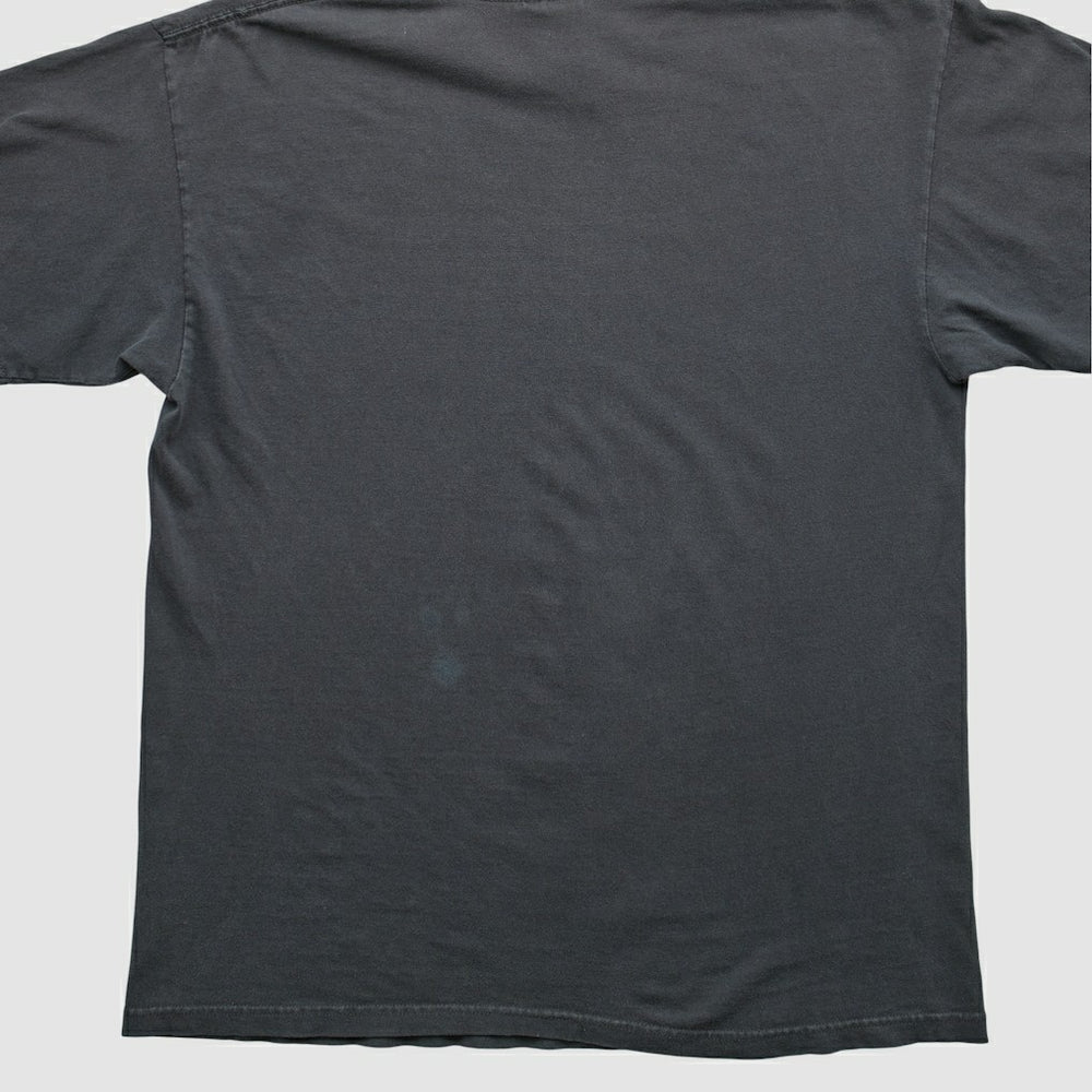 Pittsburgh Steelers NFL 2000s T-shirt Black Vintage - Fanatics
