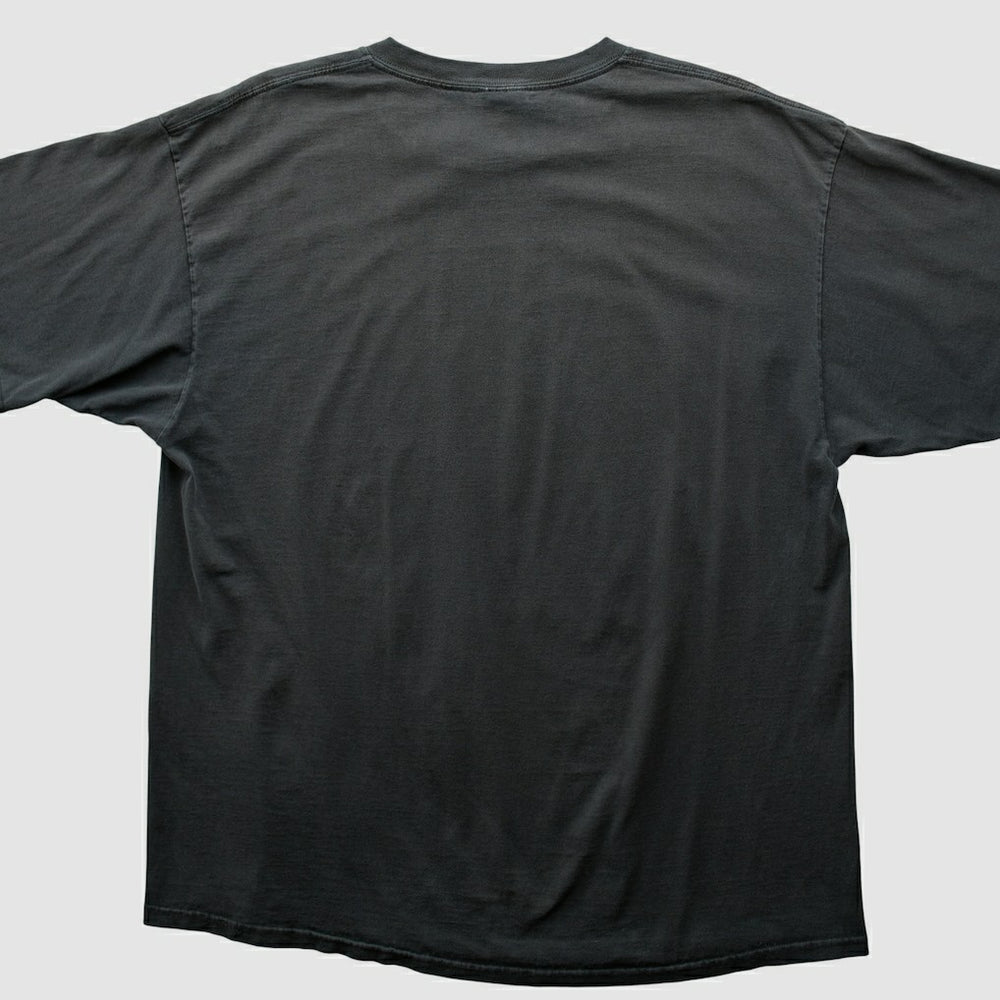 Pittsburgh Steelers NFL 2000s T-shirt Black Vintage - Fanatics