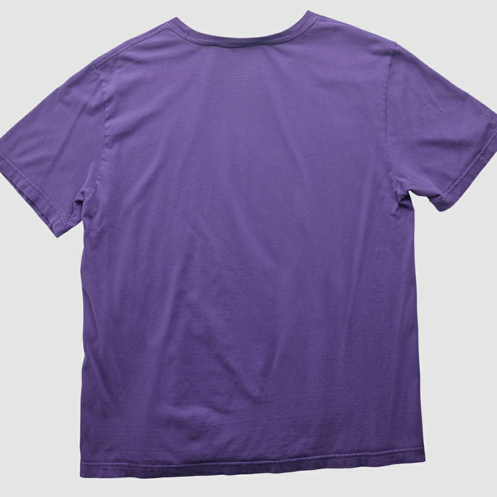 Minnesota Vikings 2010s T-shirt Purple Vintage - Fanatics