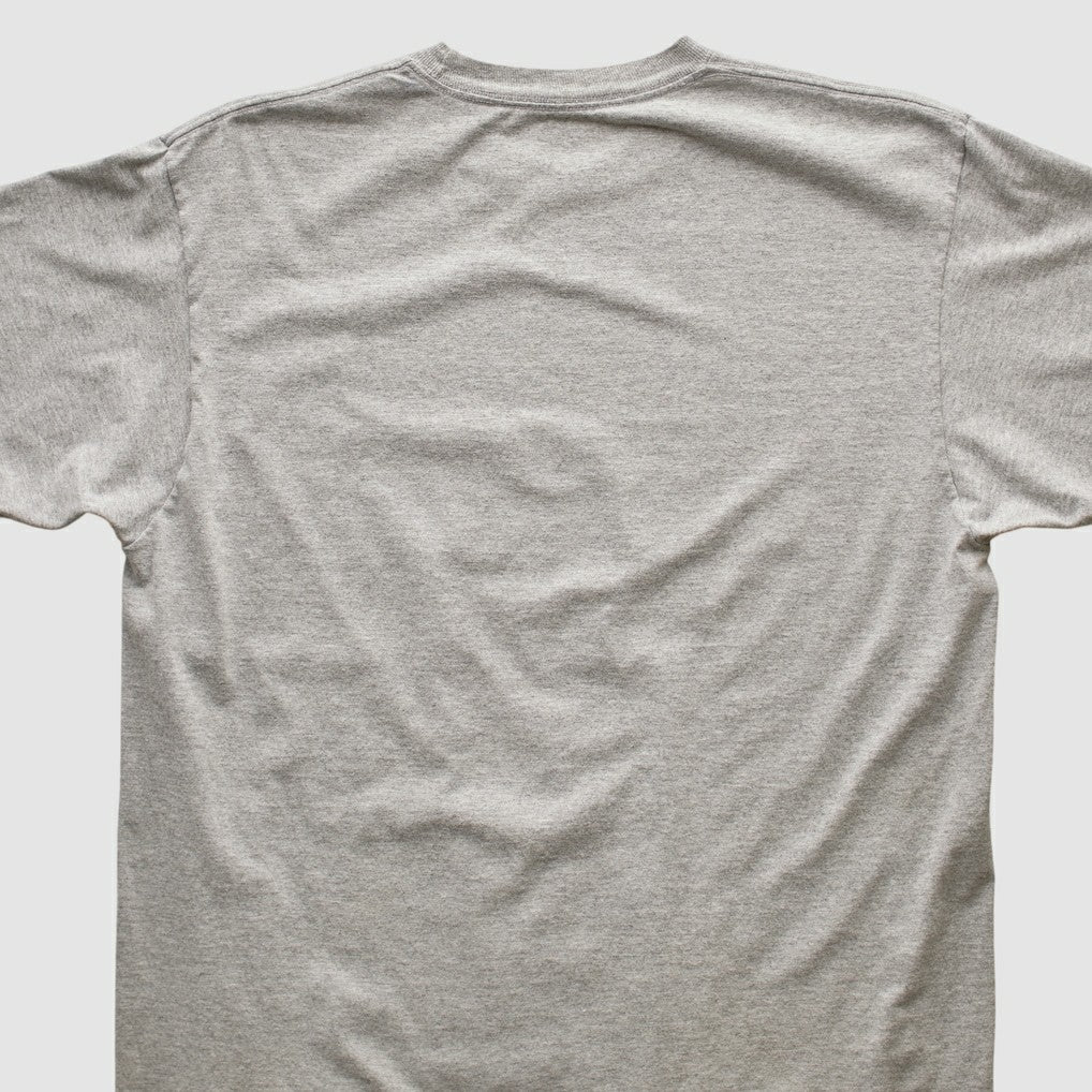 Pittsburgh Steelers Reebok 2006 T-shirt Heather Gray Vintage - Fanatics