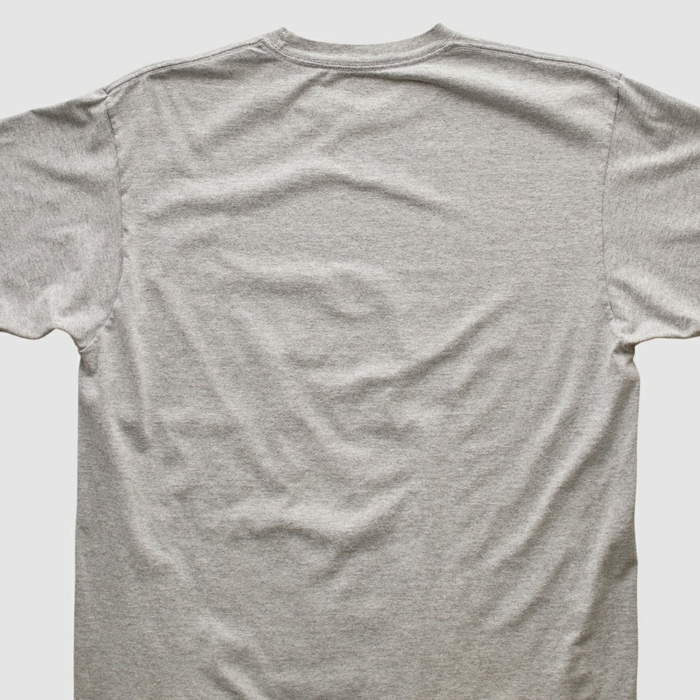 Pittsburgh Steelers Reebok 2006 T-shirt Heather Gray Vintage - Fanatics
