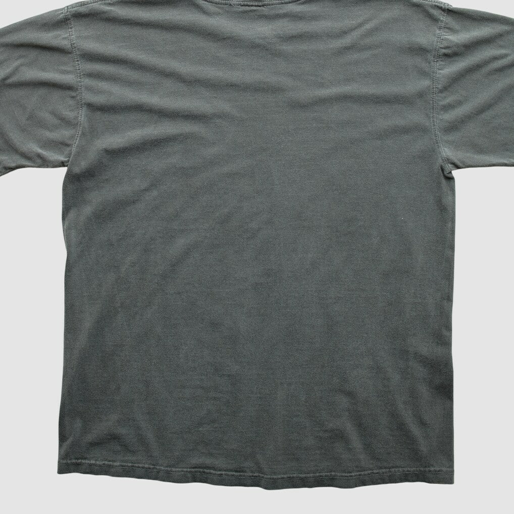 Cleveland Browns NFL Pro Line 2010s T-shirt Charcoal Vintage - Fanatics