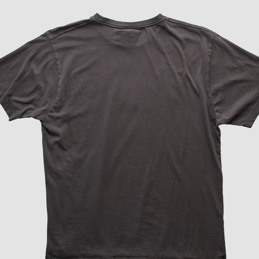 Detroit Lions Team Edition Apparel 2010s T-shirt Charcoal Vintage - Fanatics